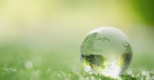 Eco-Friendly Business Travel