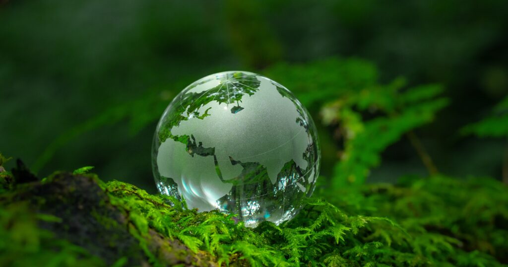 Sustainable Travel Options